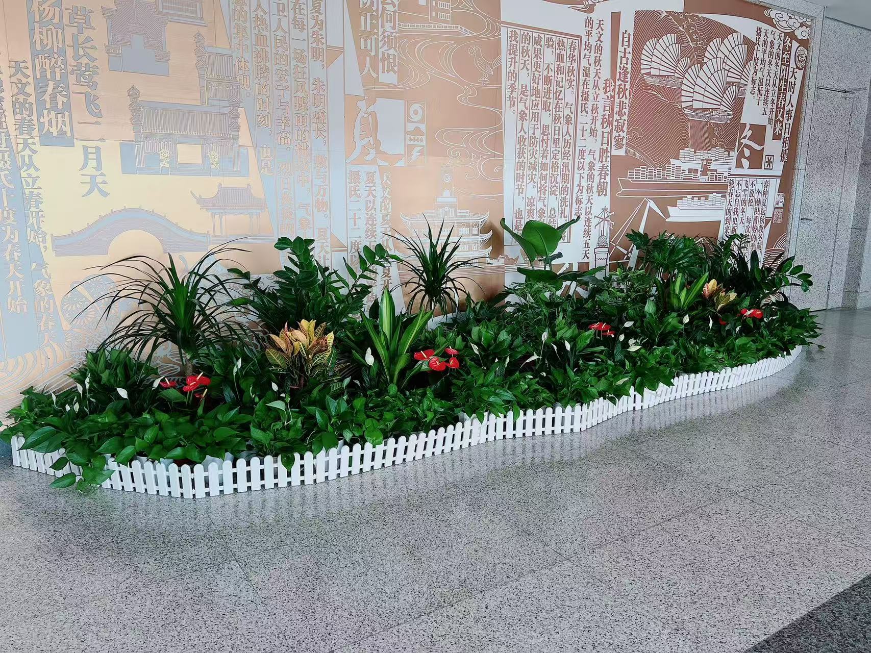 探索宁波余姚绿植租赁，实惠价格开启绿色生活！